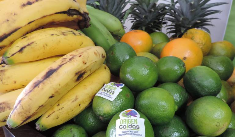 En Caldas buscan proteger los cultivos de los plaguicidas.
