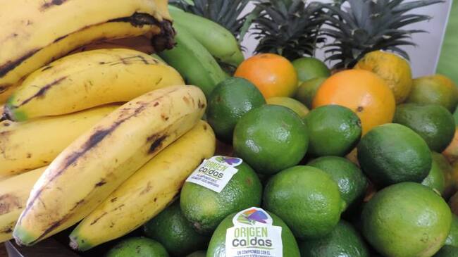 En Caldas buscan proteger los cultivos de los plaguicidas.