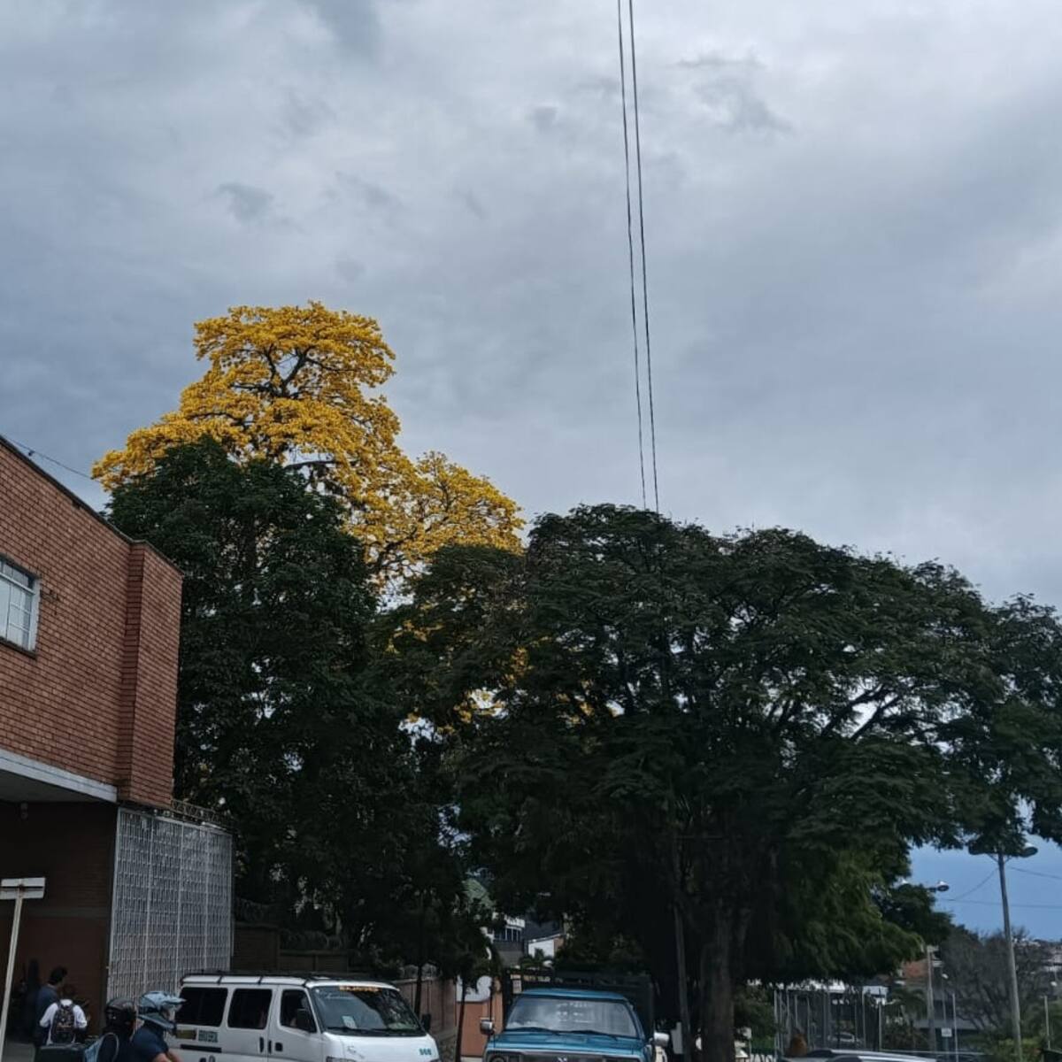 Viernes 13 de marzo, las noticias más importantes de Armenia y Quindío