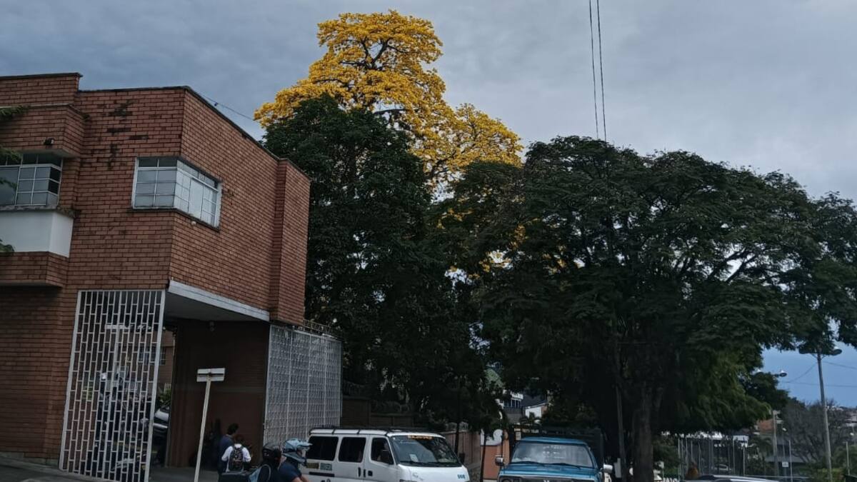 Viernes 13 de marzo, las noticias más importantes de Armenia y Quindío