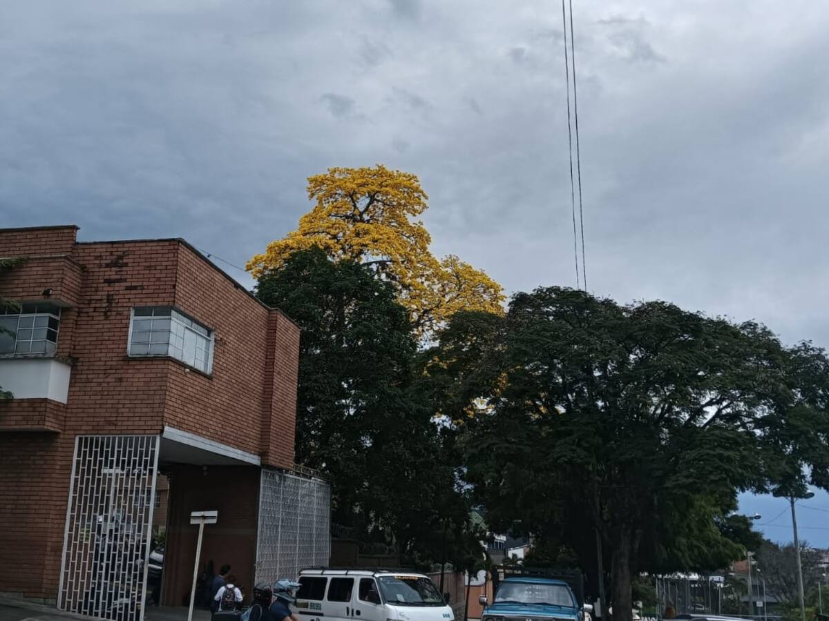 Viernes 13 de marzo, las noticias más importantes de Armenia y Quindío