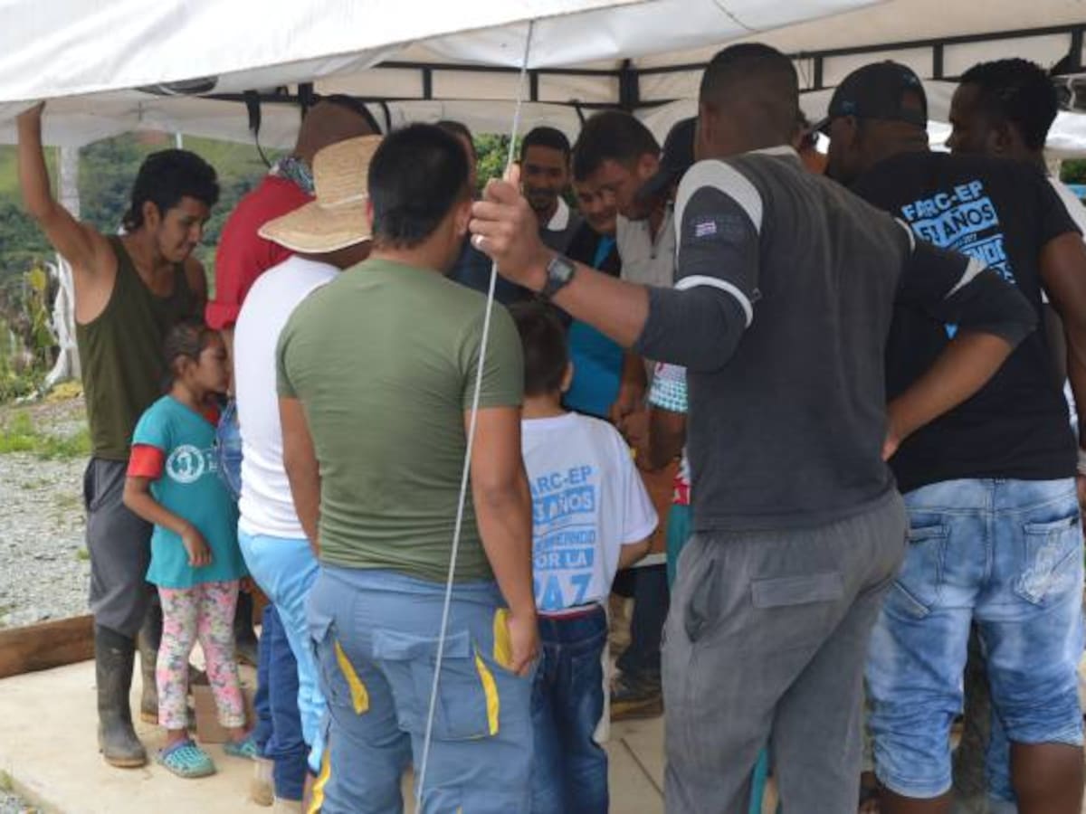 50 ex integrantes de las Farc quedaron de manera itinerante en Policarpa