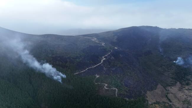 Incendio forestal en el páramo de Santurbán / Édgar Osma