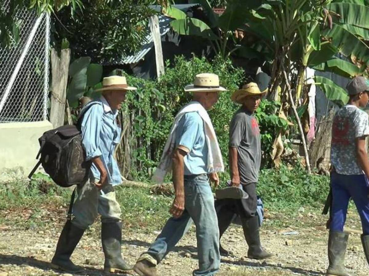 A Medellín, llegan 7 líderes sociales desplazados del bajo Cauca