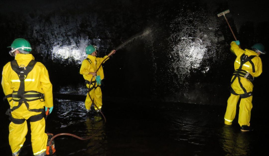 Lavado de tanques Ibagué 
