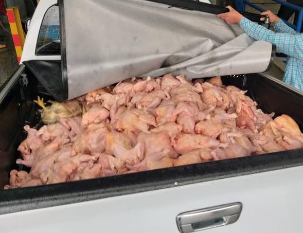 Foto: Invima (referencia)