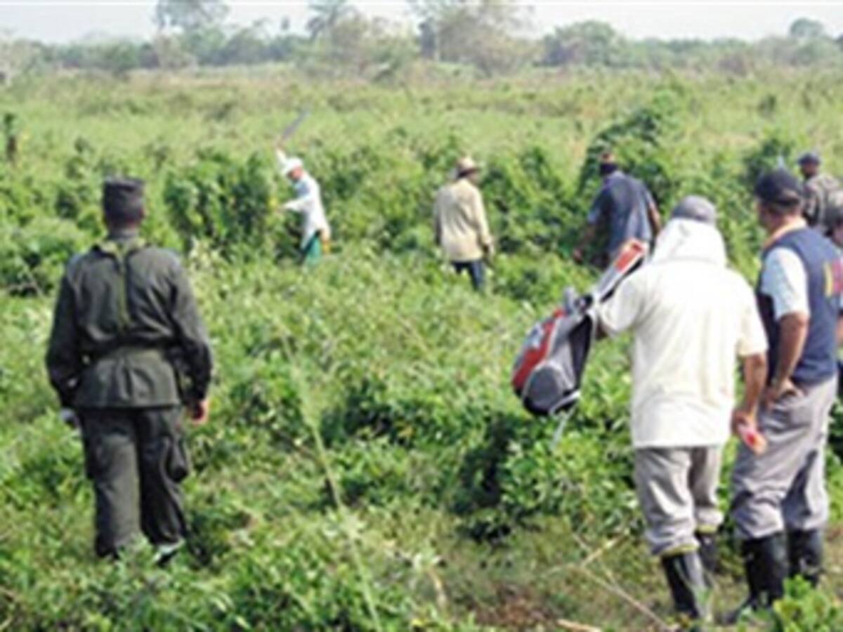 Minagricultura denuncia desaparición de líder de restitución de tierras en Meta