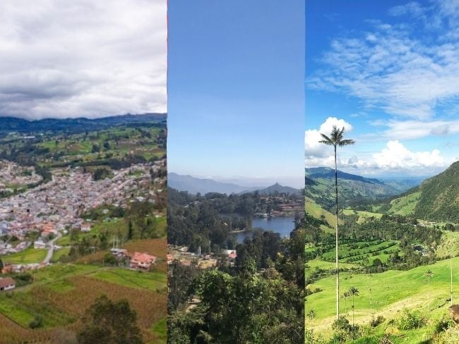 Foto Saga Vadher, Sara Illustration, Robin Canfield.