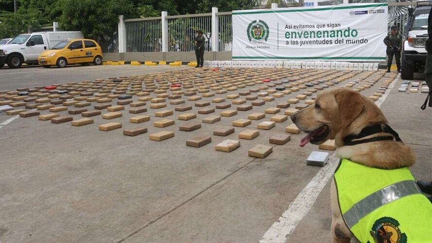 Entre plátanos fritos fue hallada media tonelada de cocaína en Cartagena. Foto: Prensa policía de Cartagena