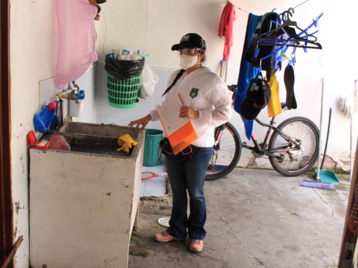 Multas en Pitalito a quienes generen proliferación del mosquito transmisor del dengue