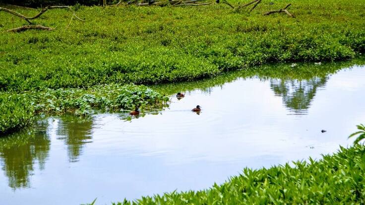 Un conflicto se presenta en el Humedal Córdoba en Bogotá