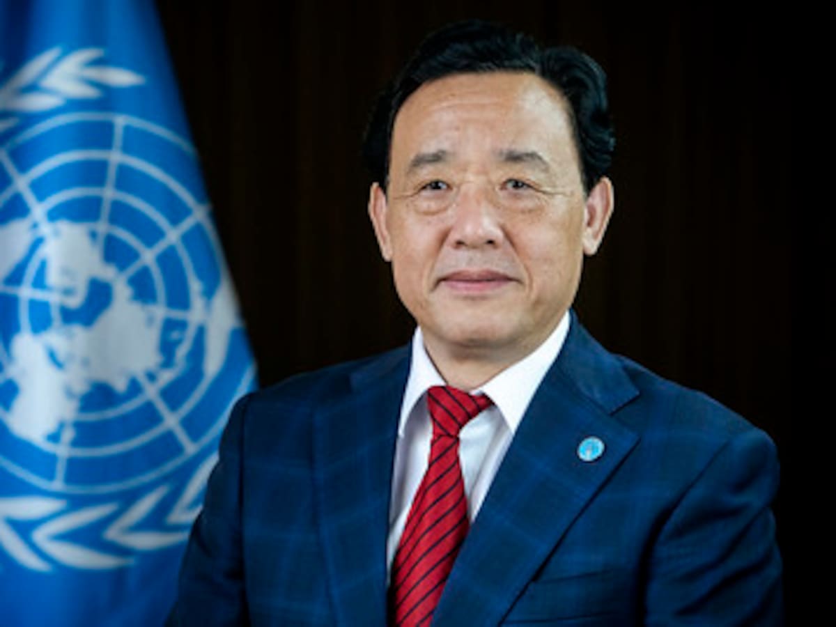 Día Mundial de la Alimentación 2025: La FAO insta en la ‘Cuádruple Mejora’ para erradicar el hambre