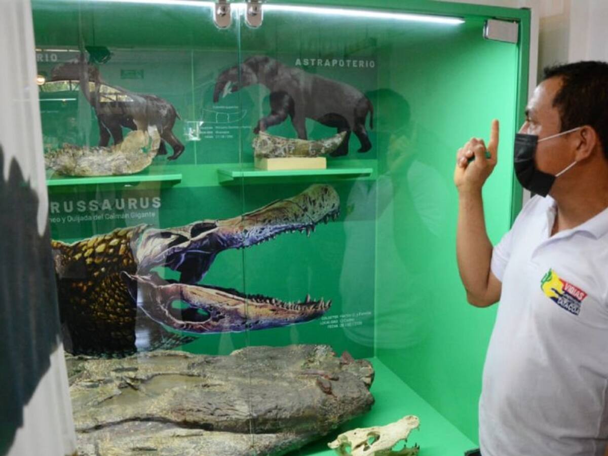 Segundo Laboratorio Paleontológico de Colombia queda en el Huila
