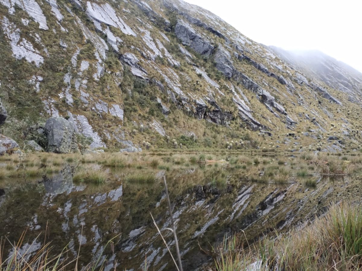 La biodiversidad extrema de Santurbán