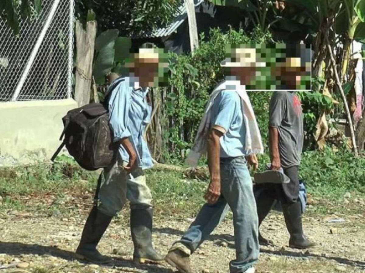 Alertan sobre posible desplazamiento forzado en Caucasia