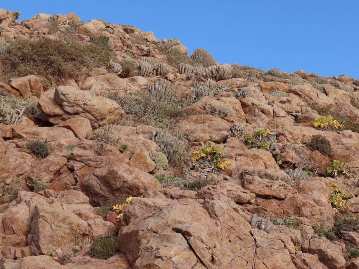 Aprenda a ser resiliente