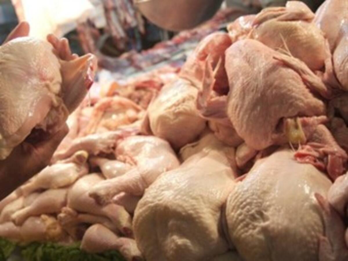 Se dispara el contrabando de pollo por la frontera con Venezuela: Fenavi