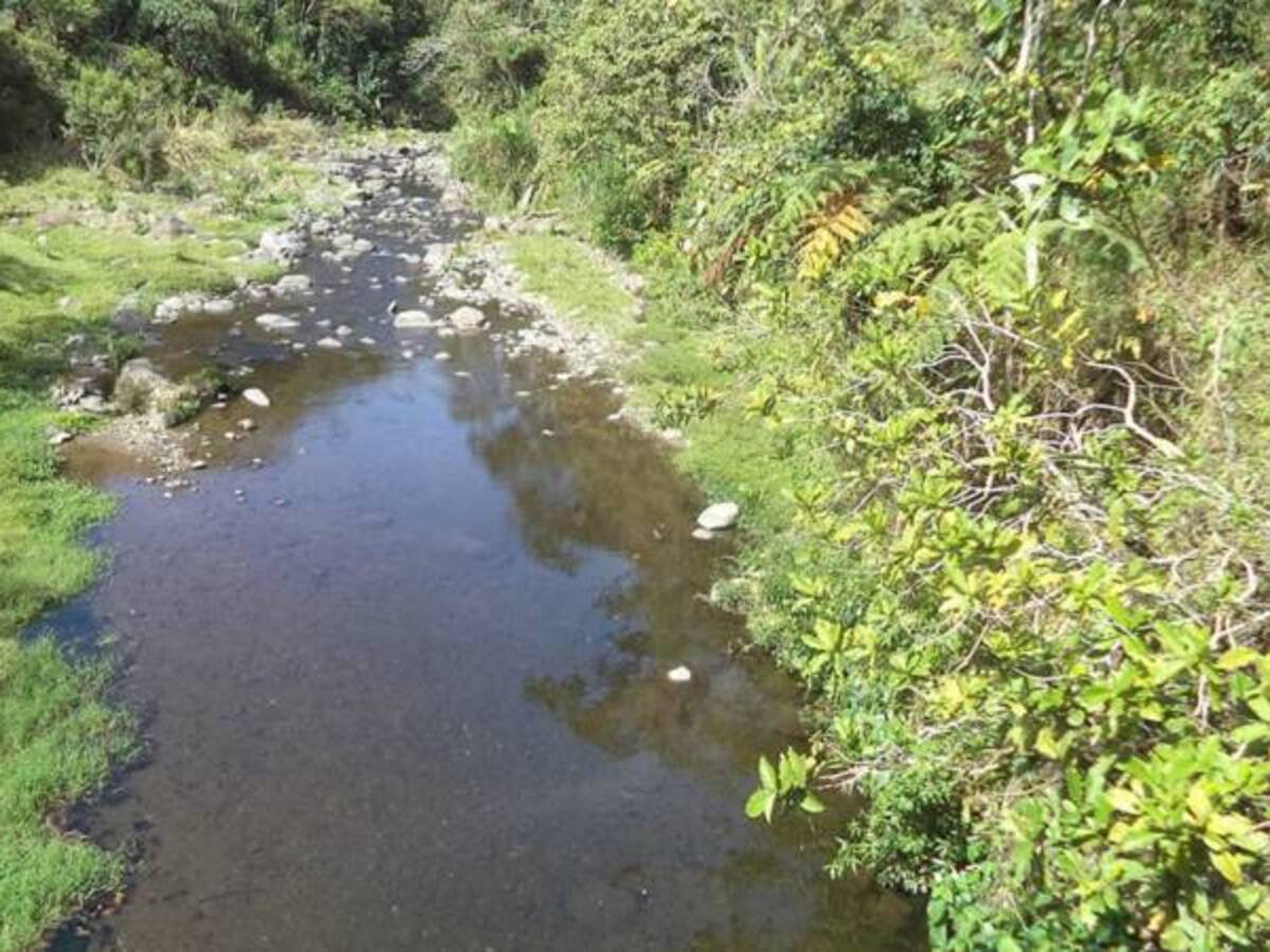 El fenómeno del niño no se soluciona porque es un evento de la naturaleza: expertos