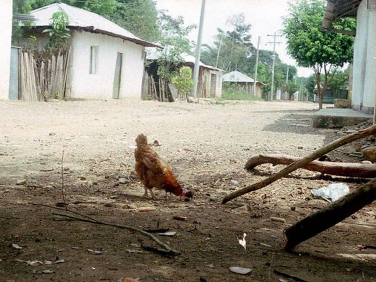 Amenazan y desplazan a 32 familias reclamantes de tierras en Turbo, Antioquia