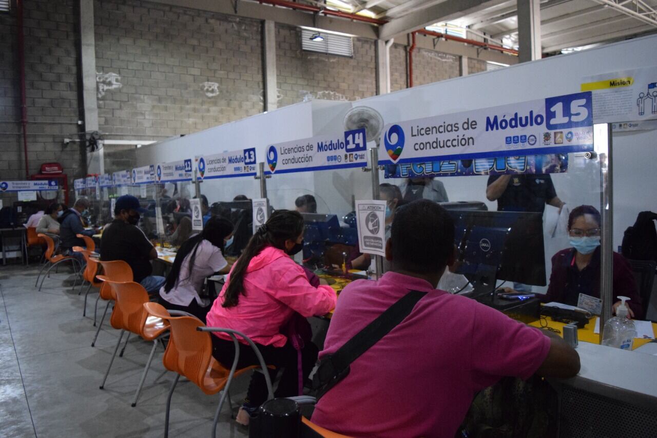 Este martes 10 de enero se normaliza la atención al público en la Secretaría de Movilidad de Ibagué