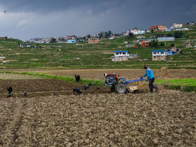 Los campesinos han garantizado la seguridad alimentaria en Colombia