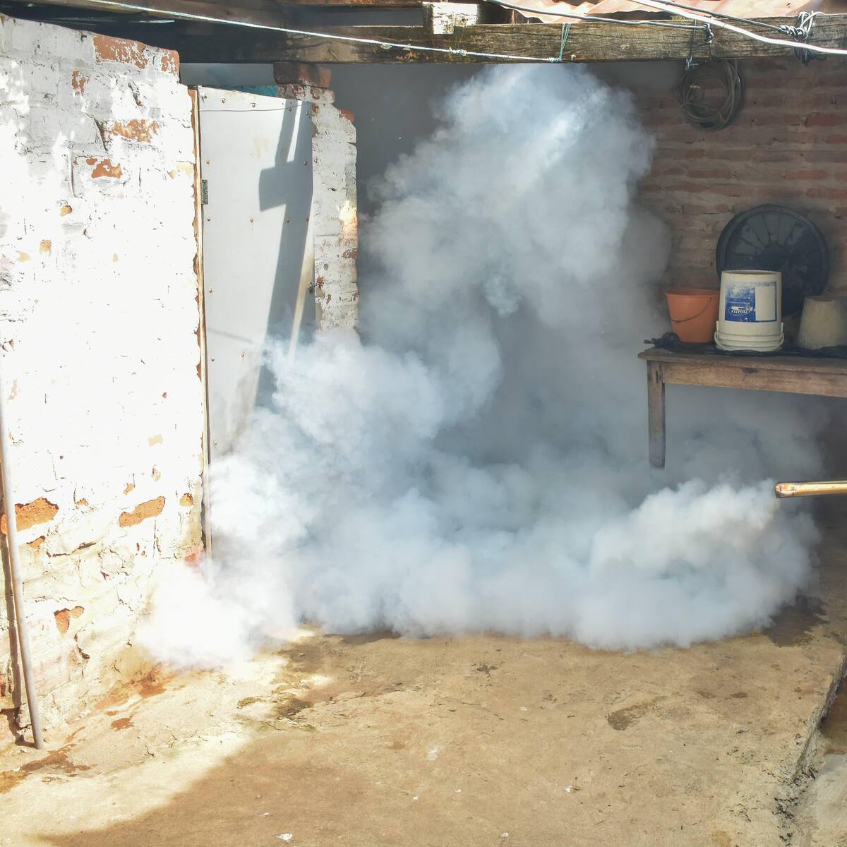 Preocupa el aumento de casos de dengue en el Huila