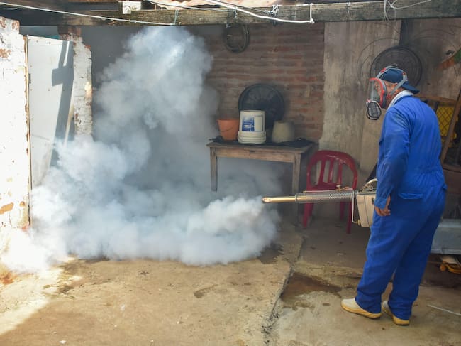 Fumigación contra el dengue