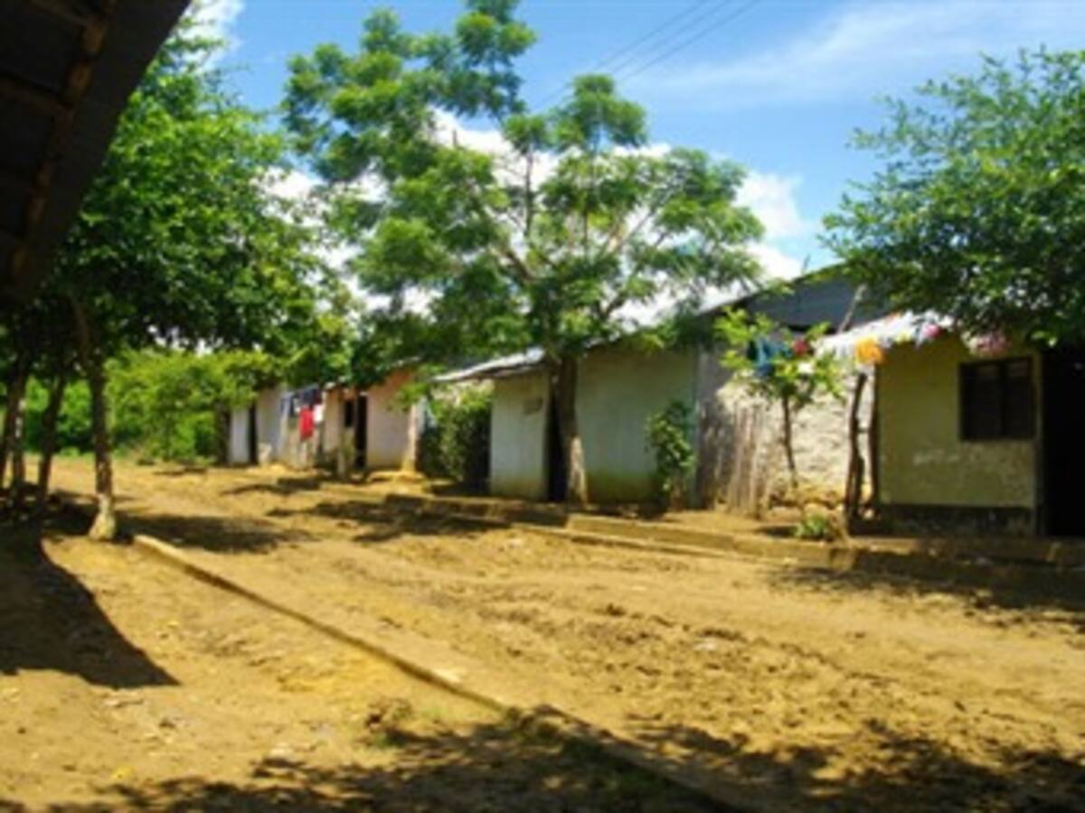 Notarios involucrados en despojo de tierras en Montes de María seguirán por ahora en sus cargos