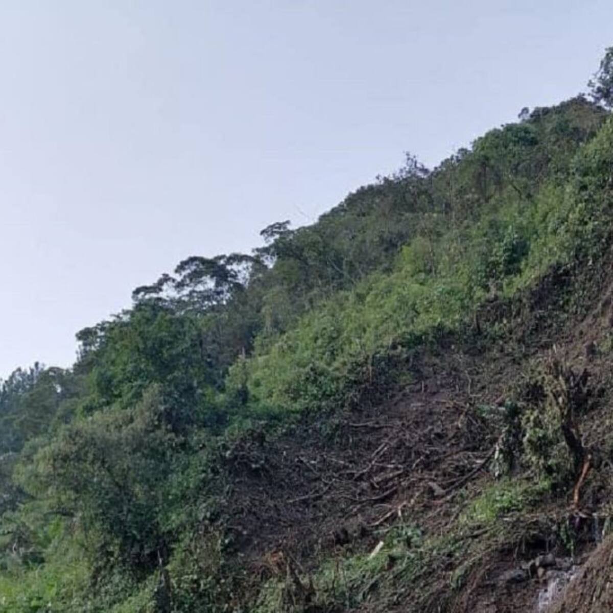 Pensilvania, Caldas y Arboleda, incomunicados por deslizamiento de tierra