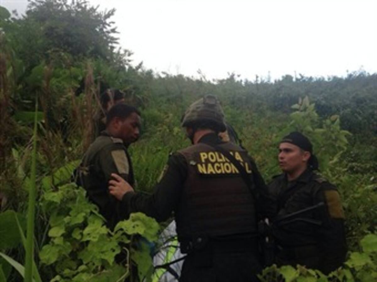 Farc niegan alianza con bandas criminales para matar policías
