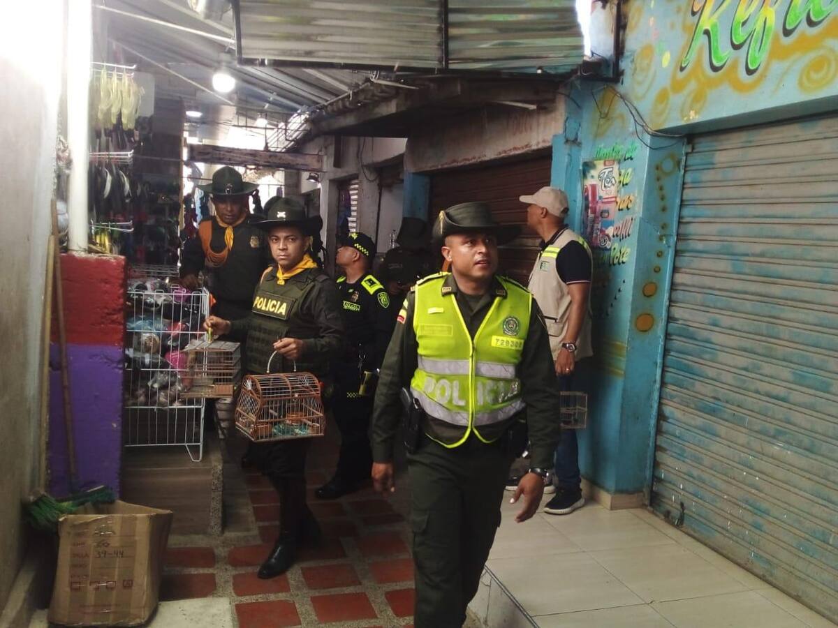 Operativos permitieron recuperación de 35 aves silvestres en Bazurto