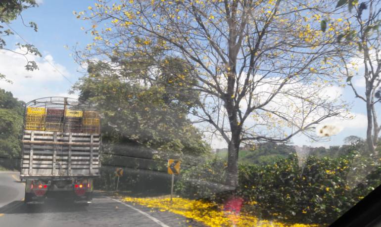 De lunes a viernes escuche 1150AM Las noticias de la región 