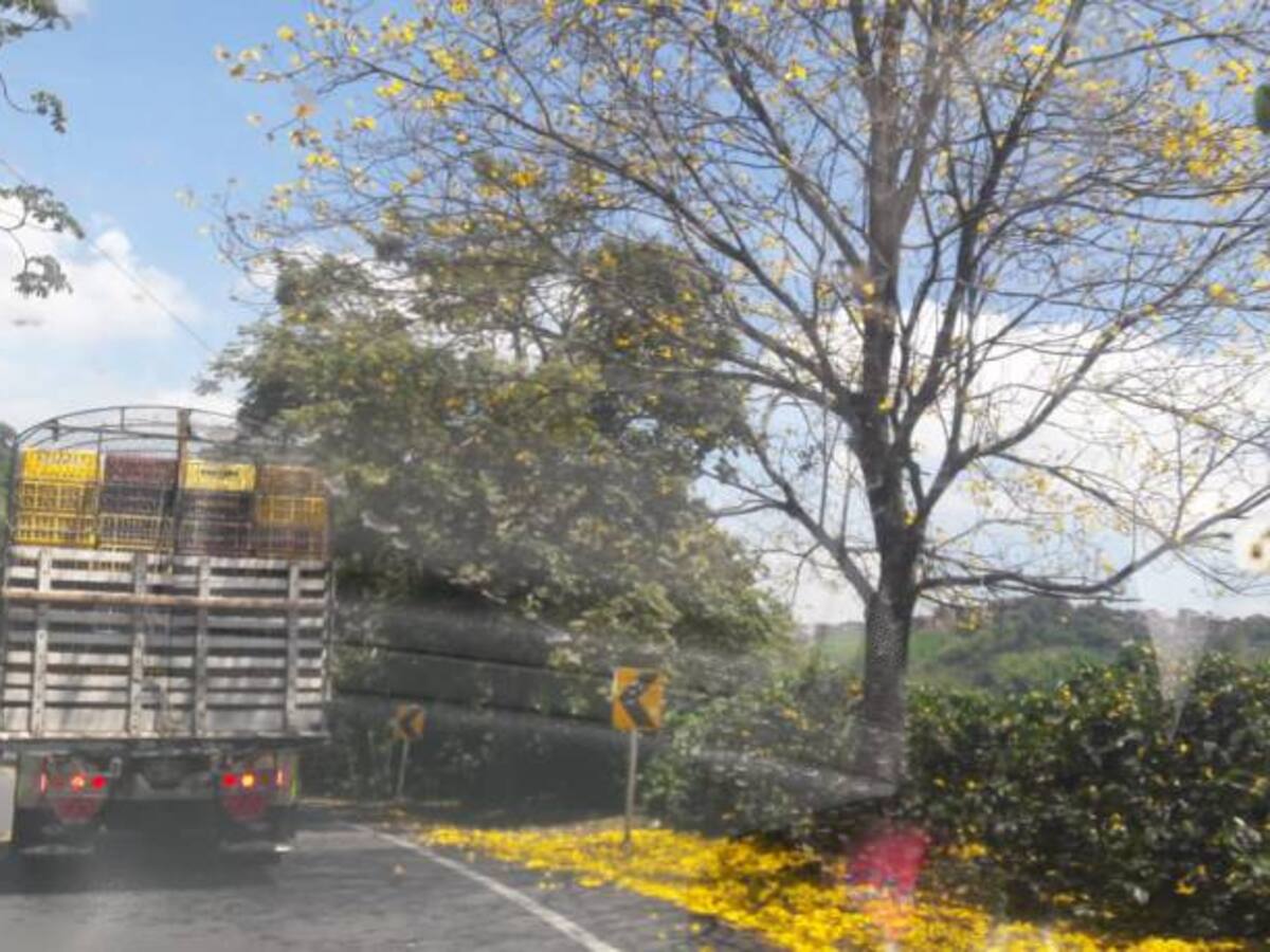 Las noticias más importantes de Armenia y Quindío, jueves 26 julio