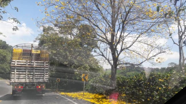 De lunes a viernes escuche 1150AM Las noticias de la región