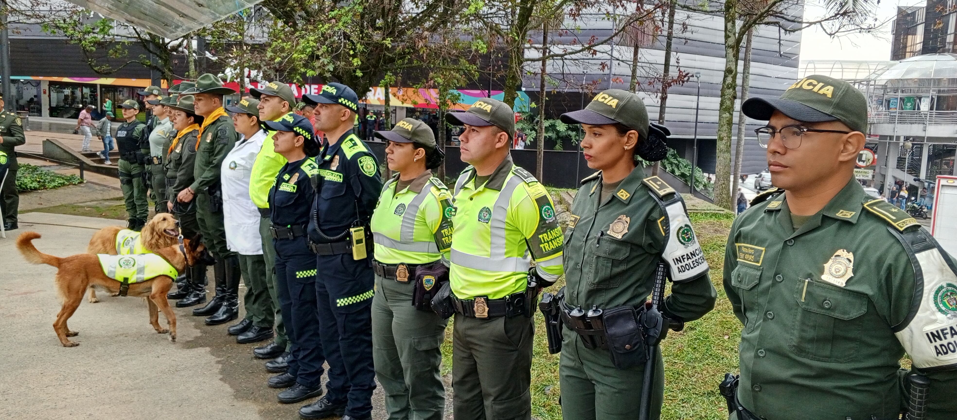 Lanzamiento Plan Navidad.