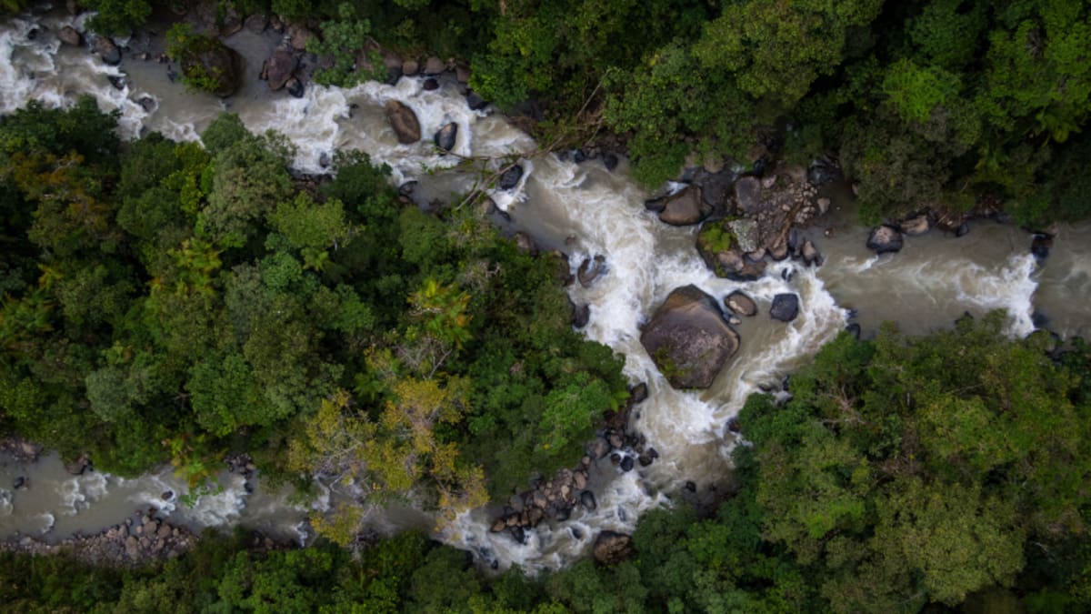 ¿Cuánto mide el río Atrato y por qué se llama así? Desemboca en el Golfo de Ura