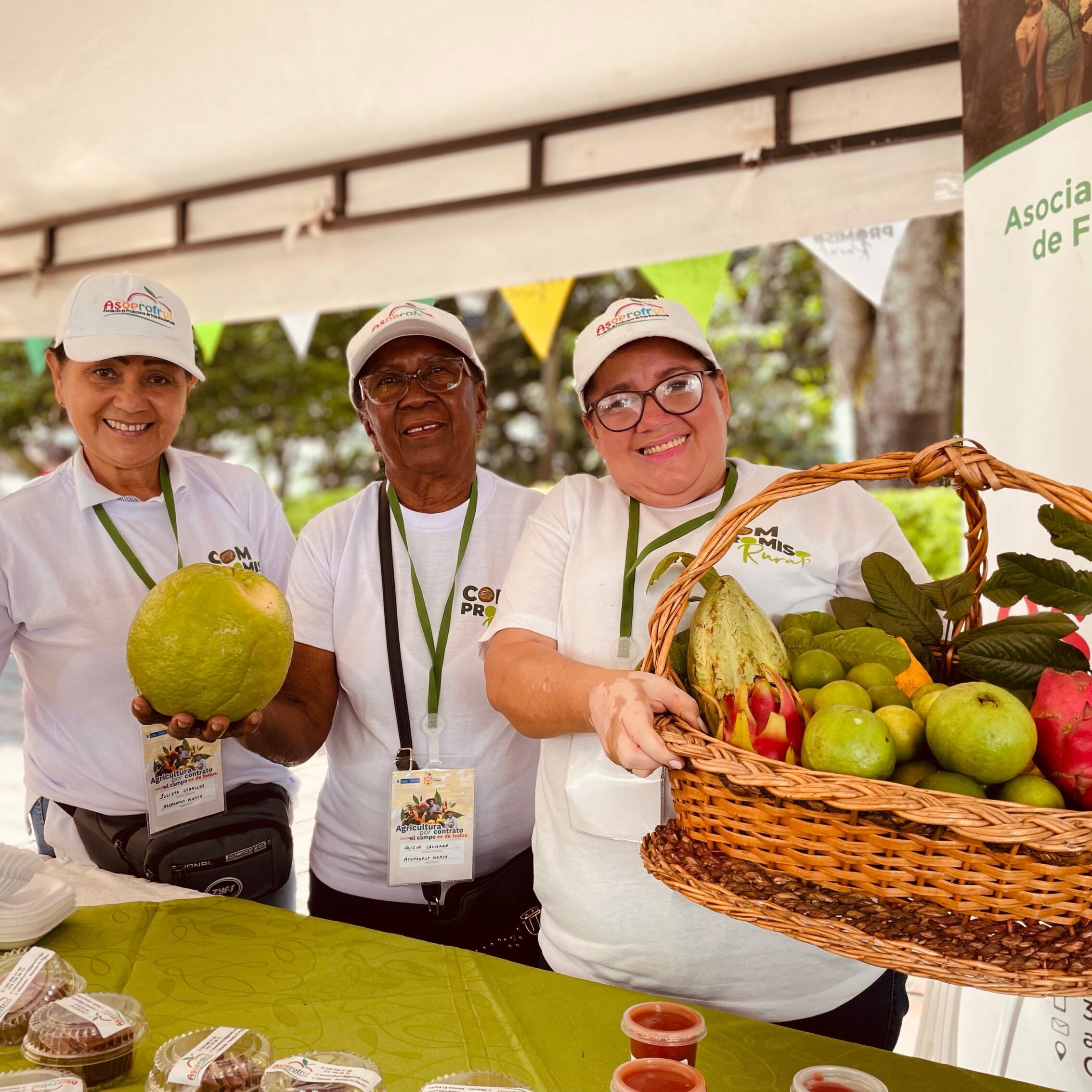 Riopaila Castilla - Un Valle que se Atreve
