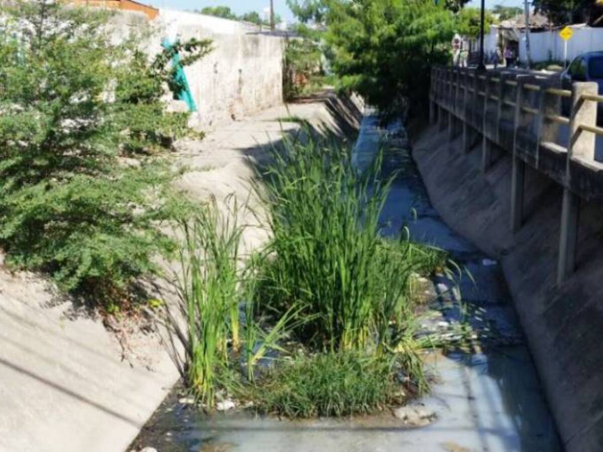Investigan supuesto vertimiento de empresa lechera en Cartagena a un canal pluvial