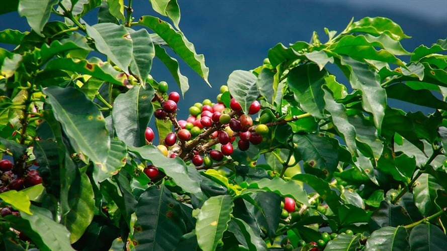 Imagen de referencia. Foto: Colprensa