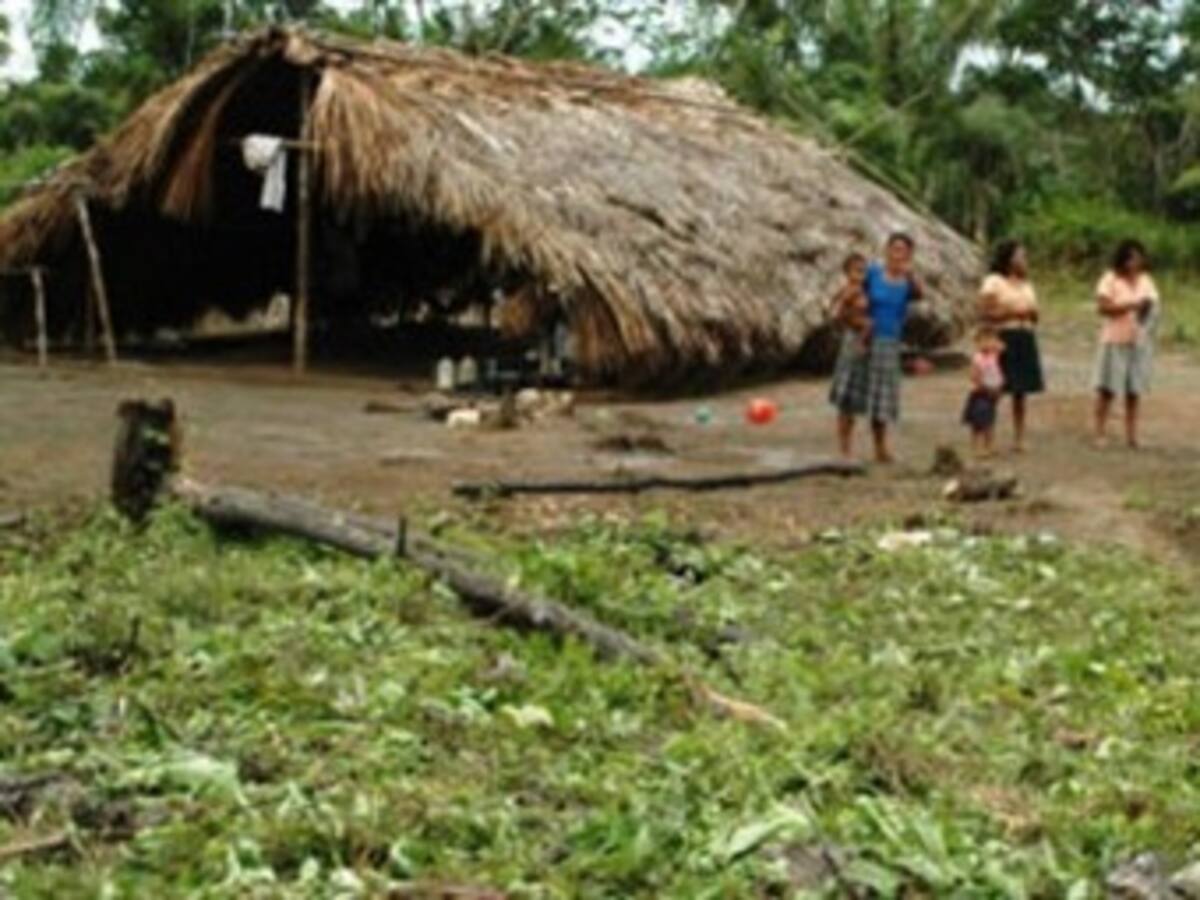 La Corte Constitucional precisó que no ordenó retiro de bases militares del Guaviare