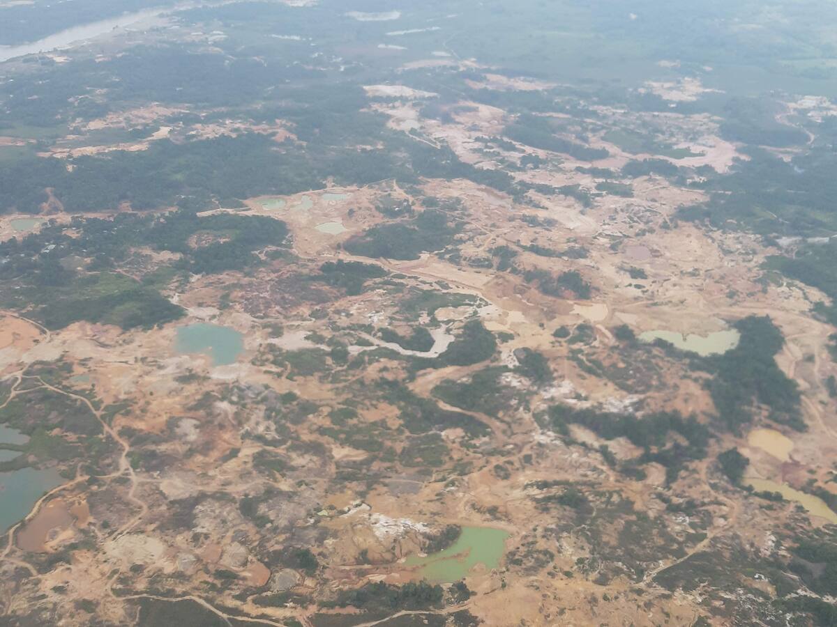 Más de 30 mil hectáreas han sido destruidas en Antioquia por grupos armados ilegales