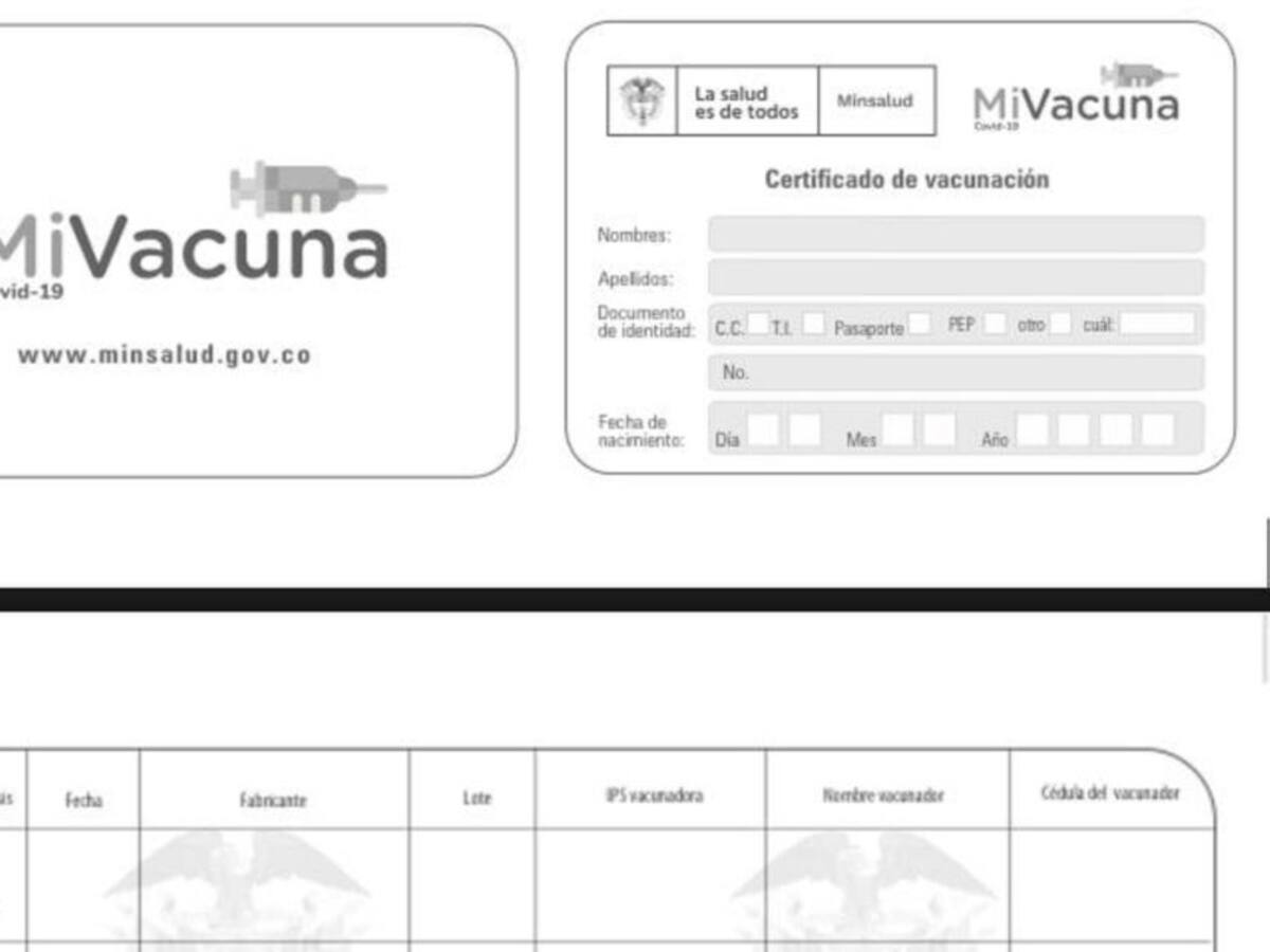 En Santa Marta buscan identificar falsificadores de carné de vacunación