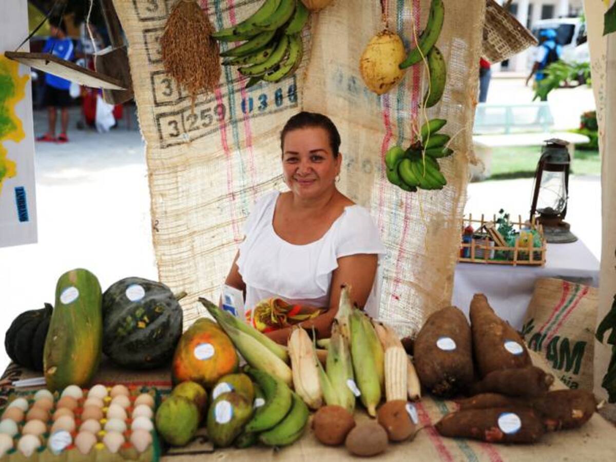 Carmen de Bolívar realiza gran mercado campesino “Frutos del campo, herencia de mi tierra”
