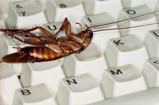 Cucarachas v.s. ChatGPT - Getty Images