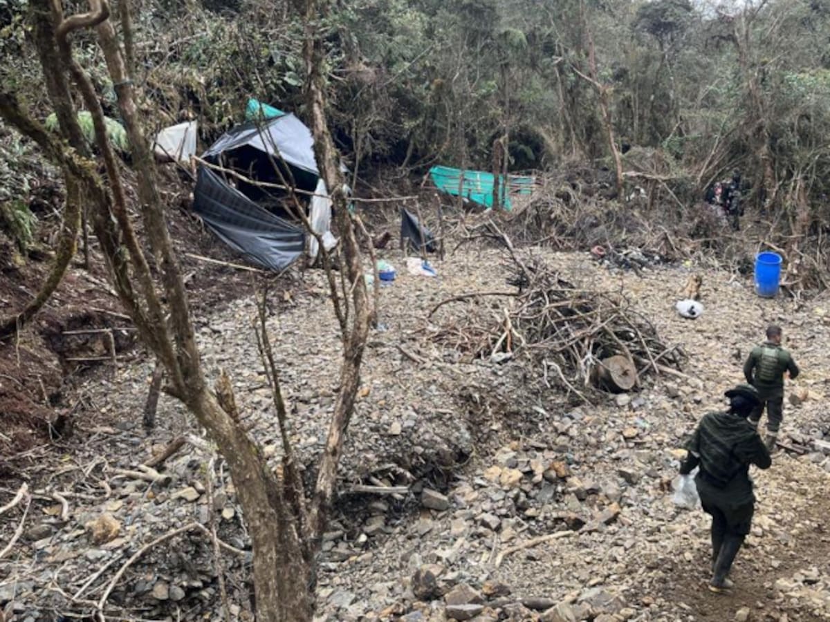 Mil hectáreas de Los Farallones de Cali, afectadas por la minería ilegal, se recuperarán