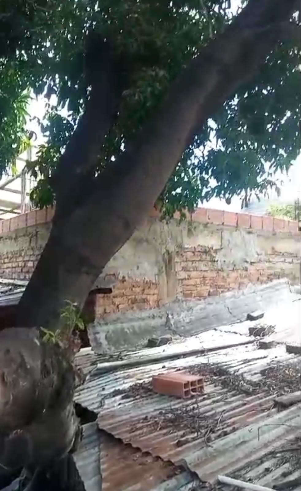 Familia pide atención de Gestión de Riesgos en el barrio Santander / Foto: Cortesía