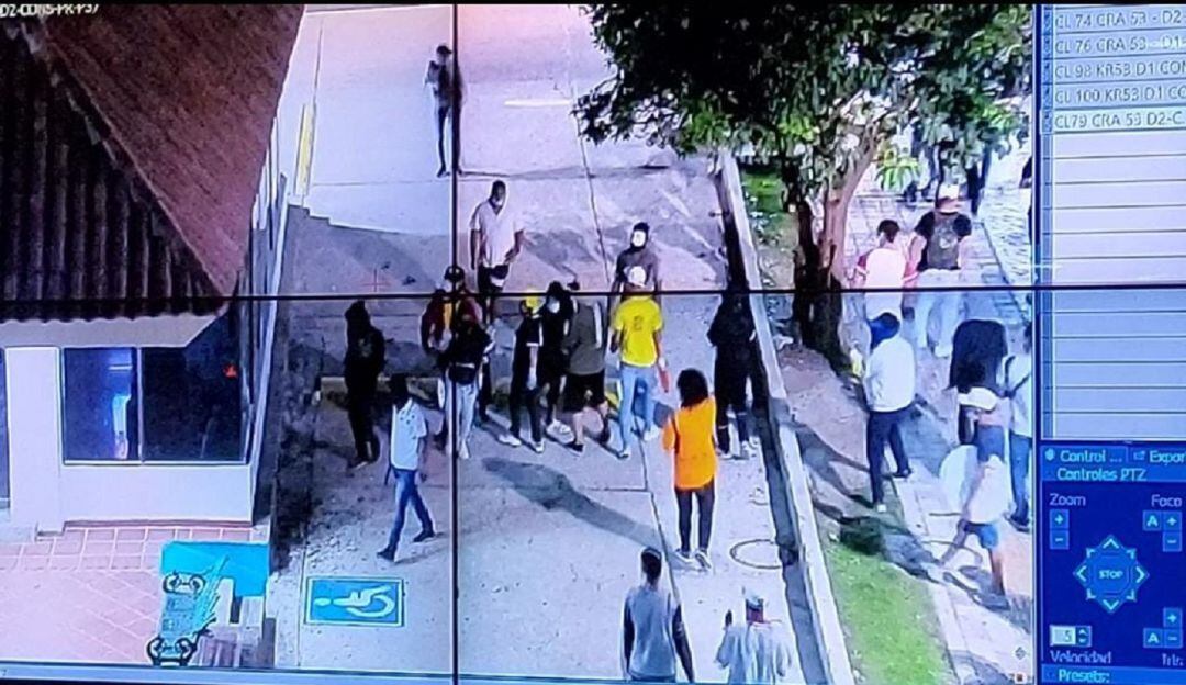 Imagen de referencia