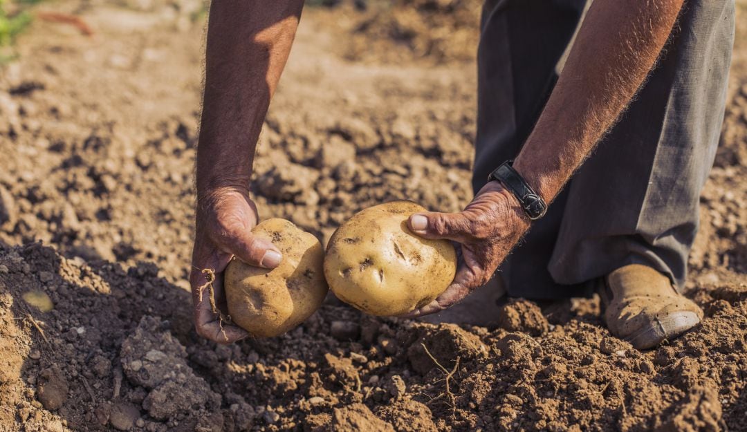 Agricultores aseguró que el campo enfrenta dificultades económicas y llamó al Gobierno a priorizar al sector rural.