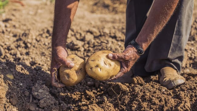 Agricultores aseguró que el campo enfrenta dificultades económicas y llamó al Gobierno a priorizar al sector rural.