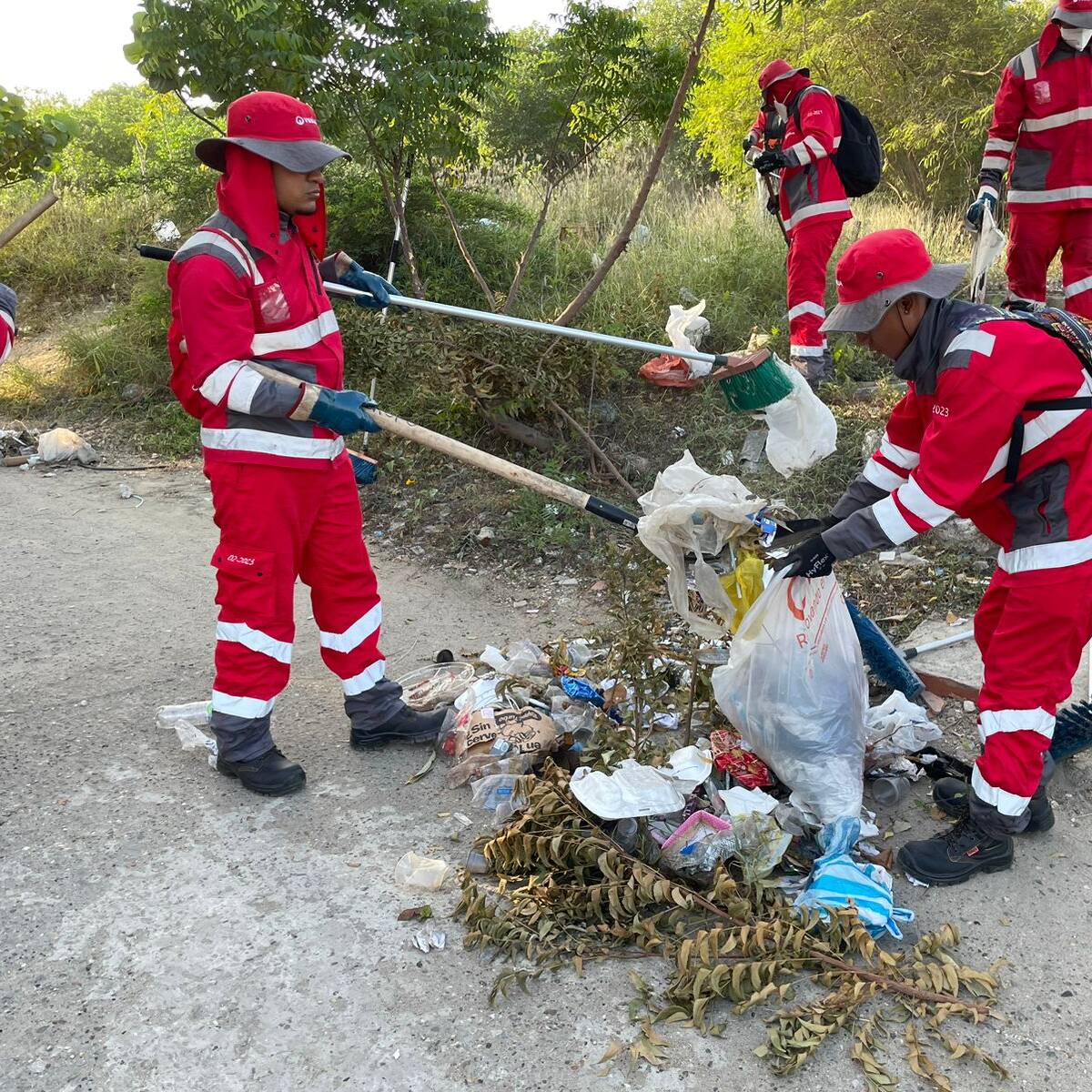 Más de 70 toneladas recolectadas tras campaña de limpieza en Cartagena